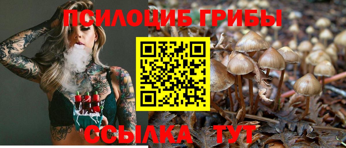 Ковров  Псилоцибиновые грибы ЛСД  закладки  Галлюциногенные грибы мицелий  Вход с VPN 