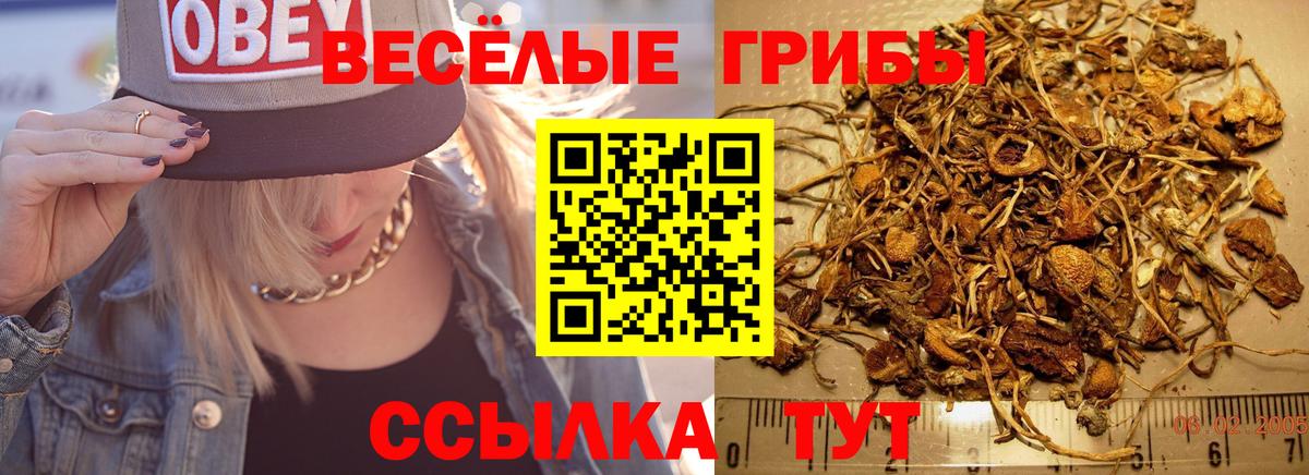 Псилоцибиновые грибы GOLDEN TEACHER Ковров